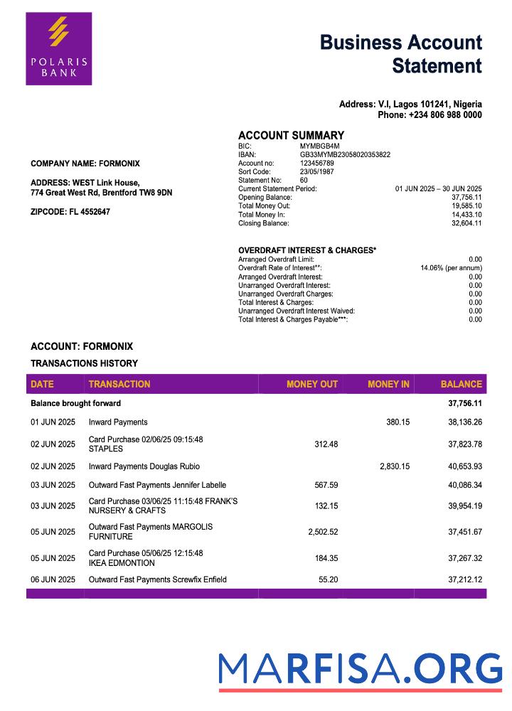 Realistic Nigeria Polaris enterprise account statement Word and PDF template